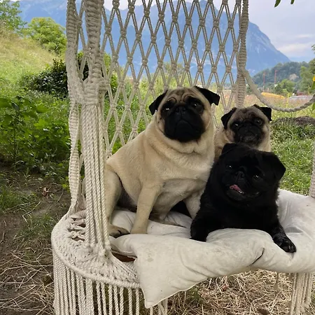 Barn In An Old Near Vaduz