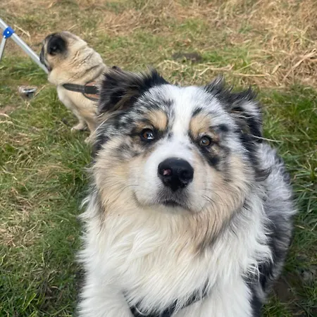 Апартаменты Barn In An Old Near Vaduz