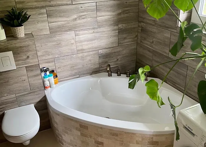 Barn In An Old Near Vaduz * Sevelen