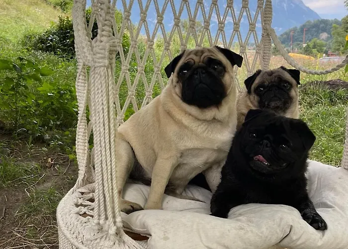 Barn In An Old Near Vaduz