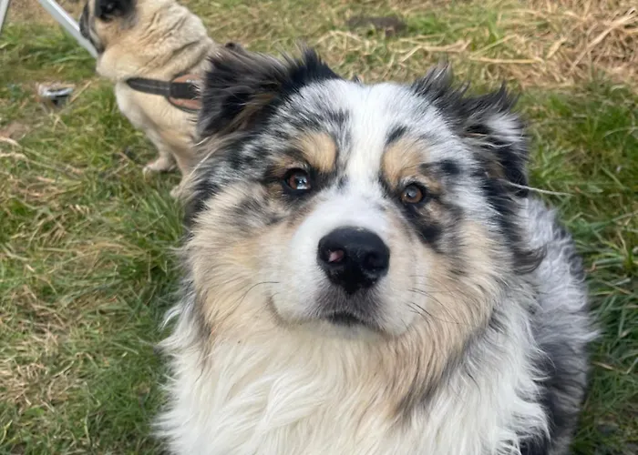 Апартаменты Barn In An Old Near Vaduz